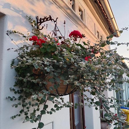 SRDEČNÁ - rodinný penzion a restaurace Novy Prerov Exterior foto